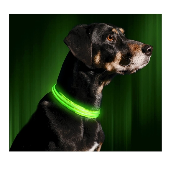 NWT Illumiseen LED Dog Collar - USB Rechargeable - Picture 3 of 5